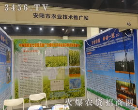 安陽市農業技術推廣站積極參與2014中部農資會，助力現代農業技術普及